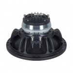 B&C 10CXN64 10 inch 250W 8 Ohm Coaxial Loudspeaker Driver