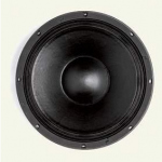 12 PS 76 4 Ohm SPEAKER