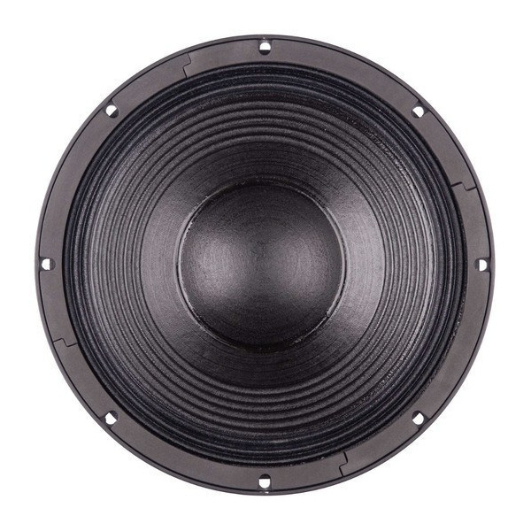 B&C 12PS100 - 12 inch 700W 4 Ohm Loudspeaker